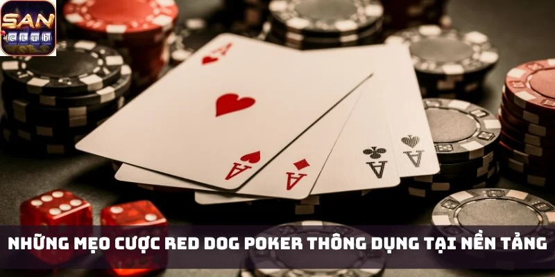 Những mẹo cược Red Dog Poker thông dụng tại nền tảng